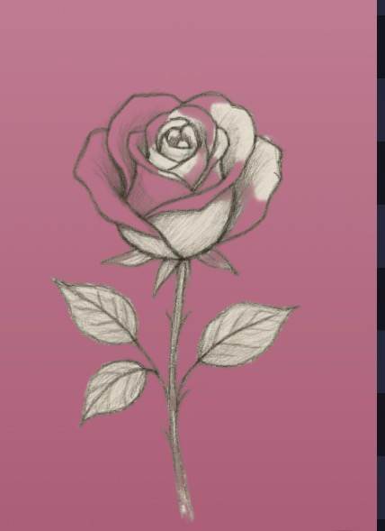 Rose ( catégorie fleur , lot disponible) — Lola Petit