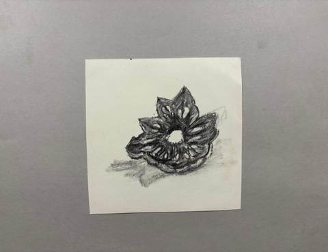 Pinecone centre — Maeve Kneafsey