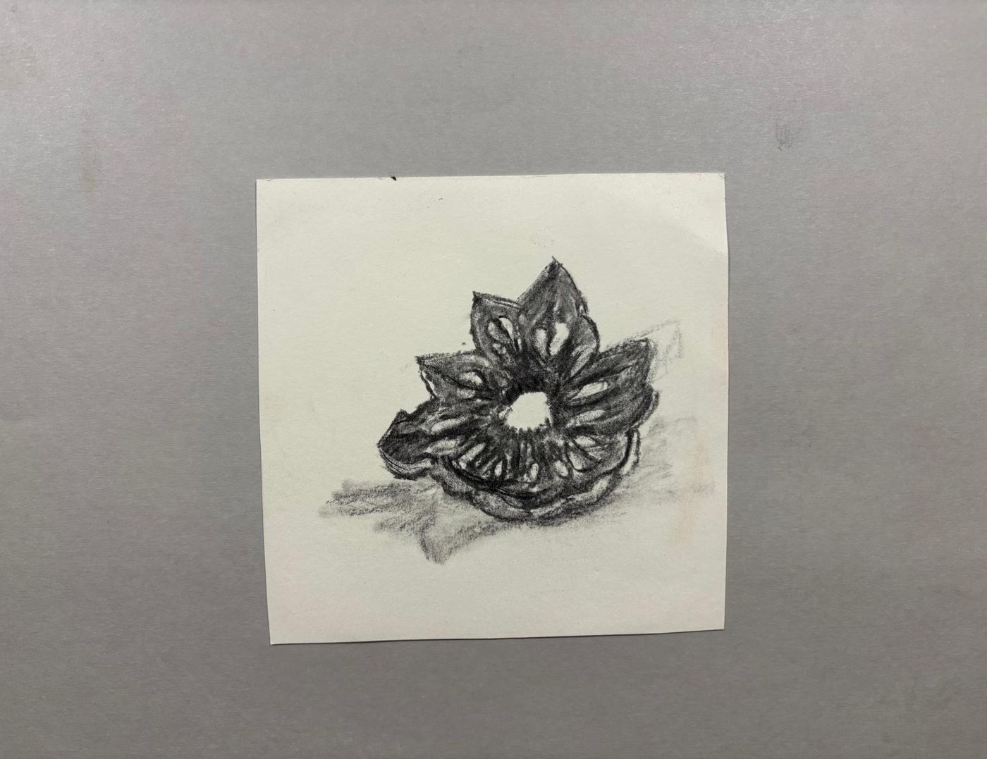 작품 Pinecone centre — Maeve Kneafsey