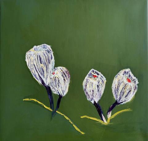 Crocuses, Huntington Castle, Carlow — Maeve Kneafsey