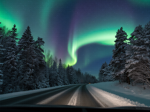 Northern Lights 1 — Nadine Senior