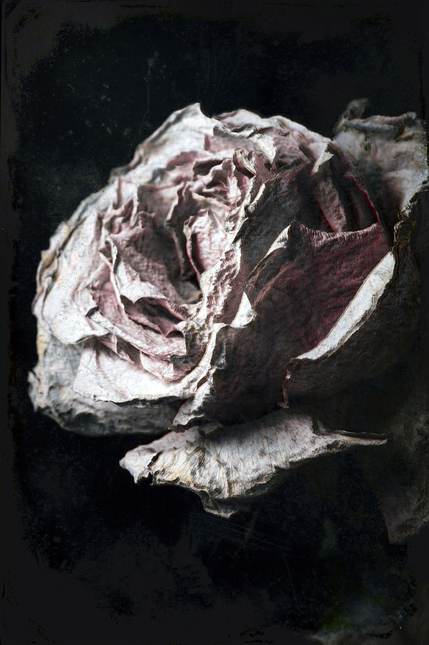 Nature Morte au Présent 01 — Photographie numérique, 2026 — œuvre de antoine marelle