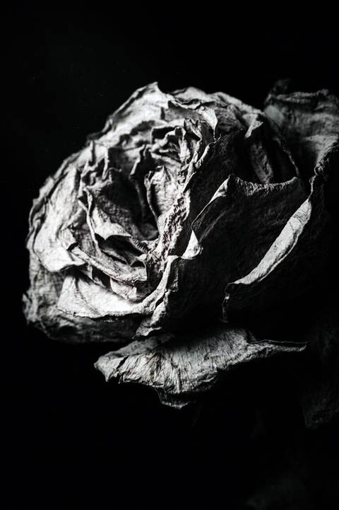 Nature Morte au Présent 02 — Photographie numérique, 2026 — œuvre de antoine marelle, art Photographie d'art