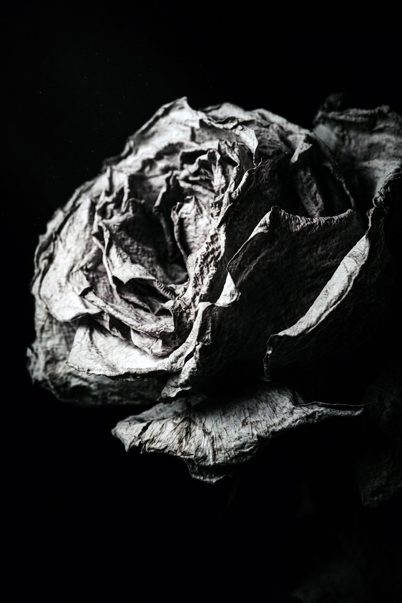 Nature Morte au Présent 02 — Photographie numérique, 2026 — œuvre de antoine marelle