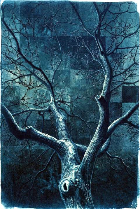 L'Ombre des Veines — antoine marelle
