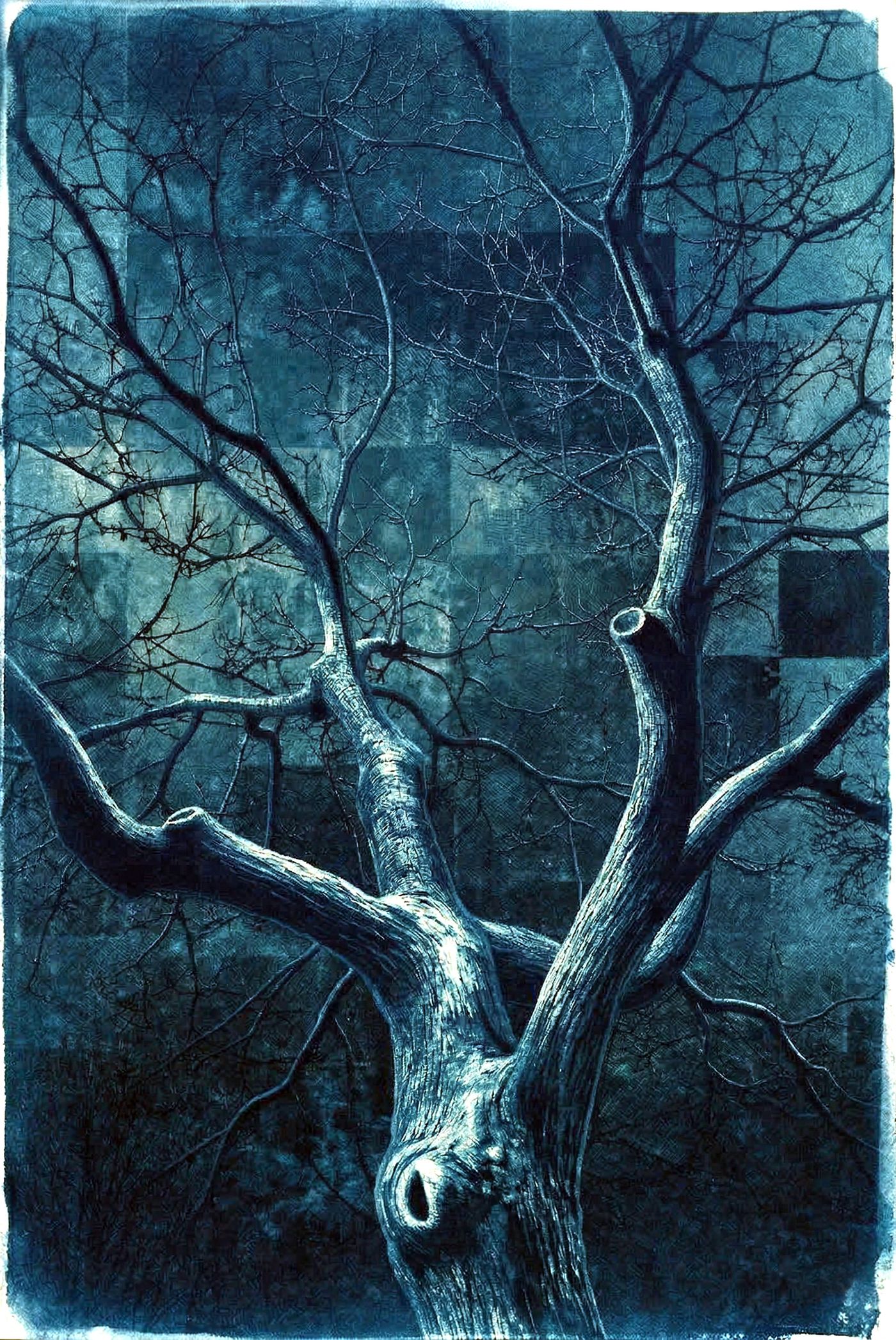 L'Ombre des Veines — Cyanotype, 2026 — œuvre de antoine marelle