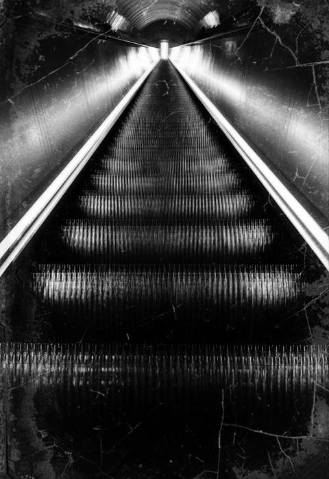 L'Échelle d'Ombre — Art numérique, 2026 — œuvre de antoine marelle, art Photographie d'art