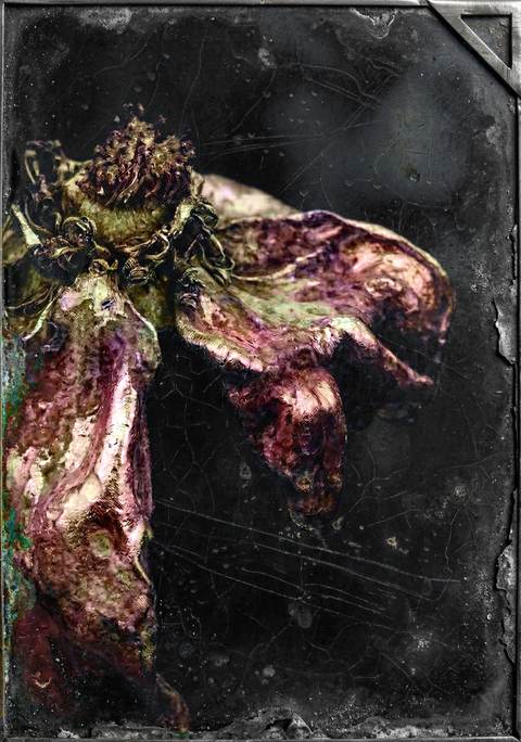 Nébuleuse Terrestre — Photographie numérique, 2026 — œuvre de antoine marelle, art Photographie d'art