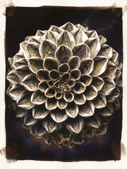 Le Cœur de Fibonacci — antoine marelle
