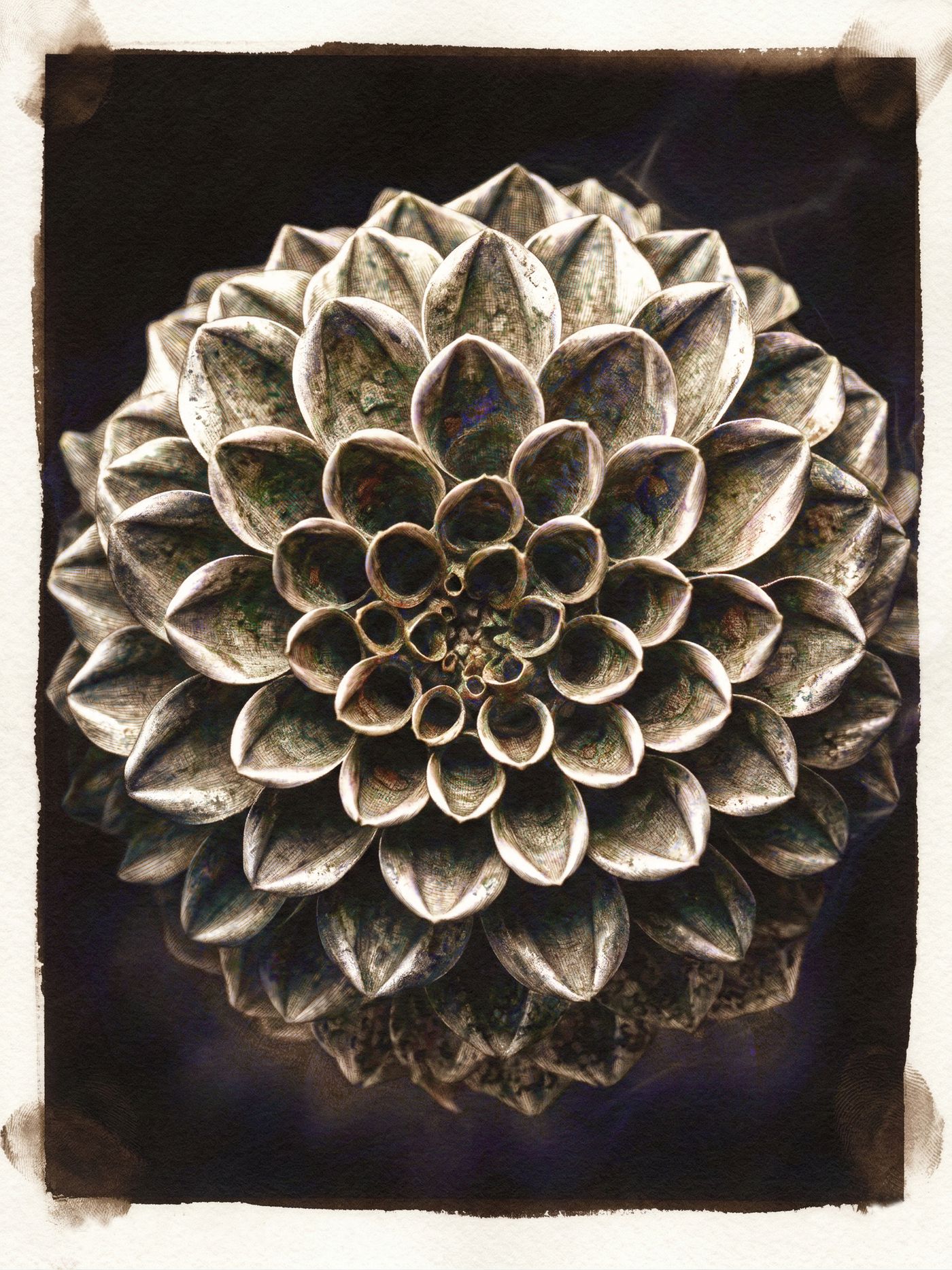 Le Cœur de Fibonacci — Photographie numérique, 2026 — œuvre de antoine marelle