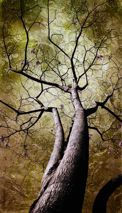Entre Terre et Éther — Photographie numérique, 2026 — œuvre de antoine marelle, art Photographie d'art