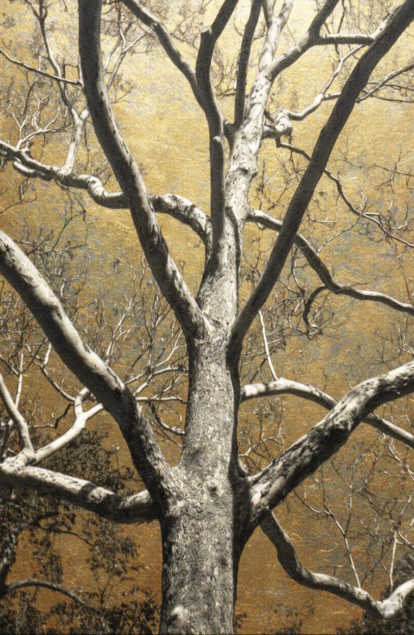 Œuvre Canopée Solaire par antoine marelle — galerie d'art contemporain