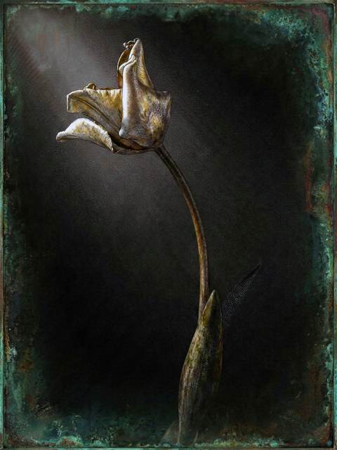 Nature Morte au Clair-Obscur — 안트완 마렐