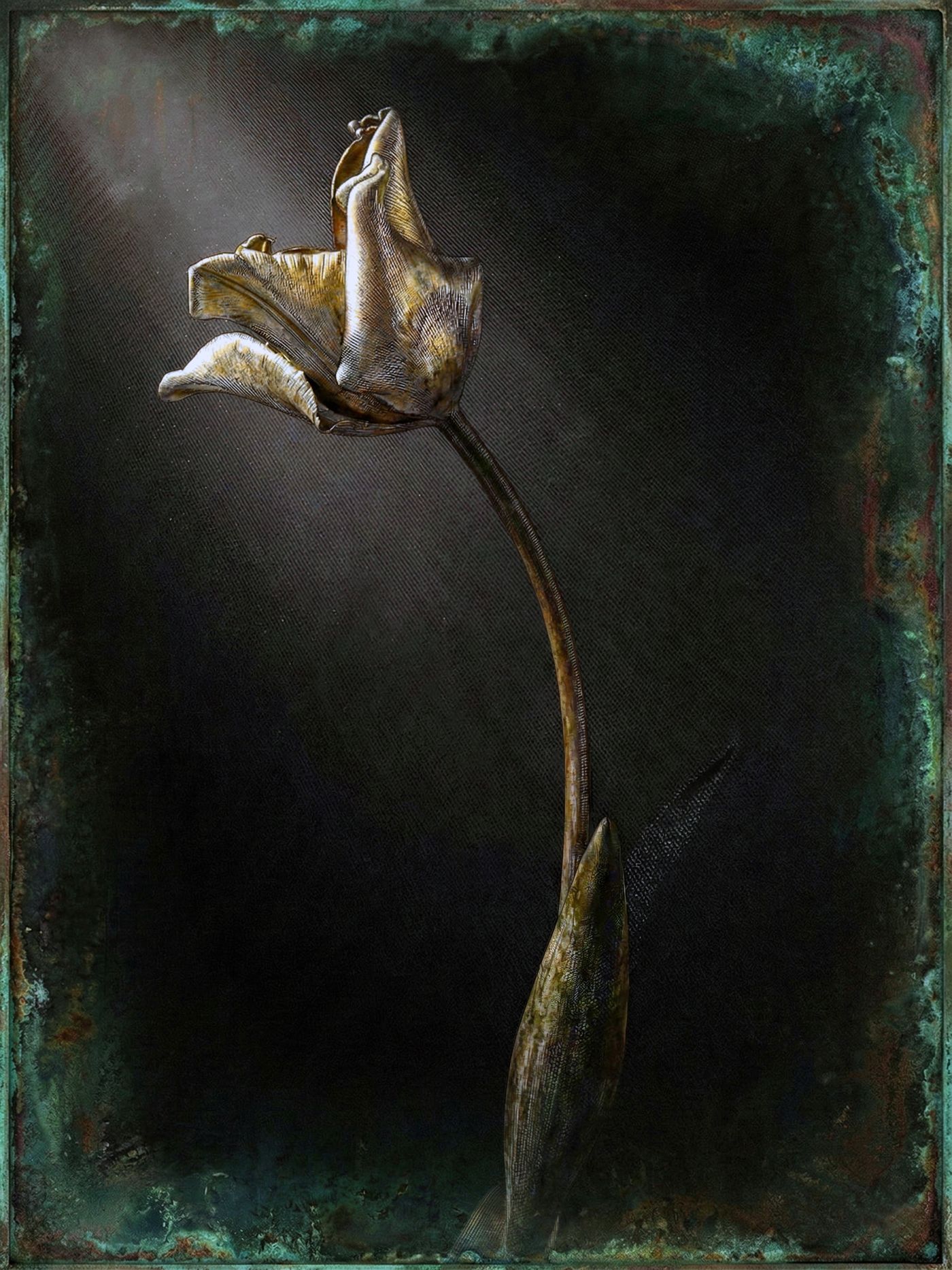 Nature Morte au Clair-Obscur — Photographie numérique, 2026 — œuvre de antoine marelle