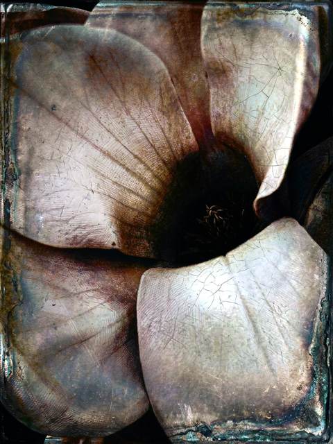 antoine marelle